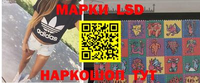 гидропоника Камышлов