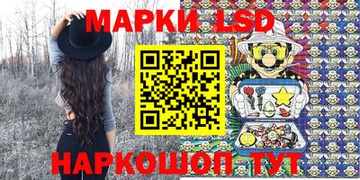 гидропоника Камышлов