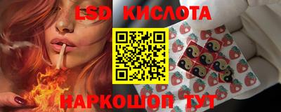 гидропоника Камышлов