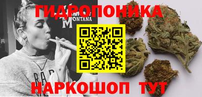 ECSTASY Кандалакша