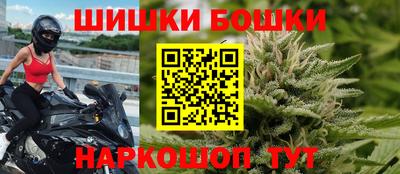 гидропоника Камышлов