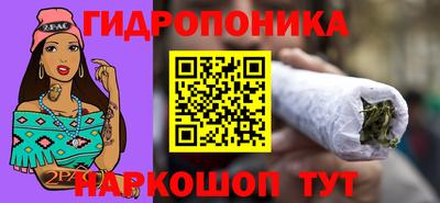 гидропоника Камышлов